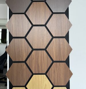 AKUSTIK ŠESTOUGAO RF038